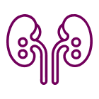 Icone dos rins mosstrando a manifestação doença